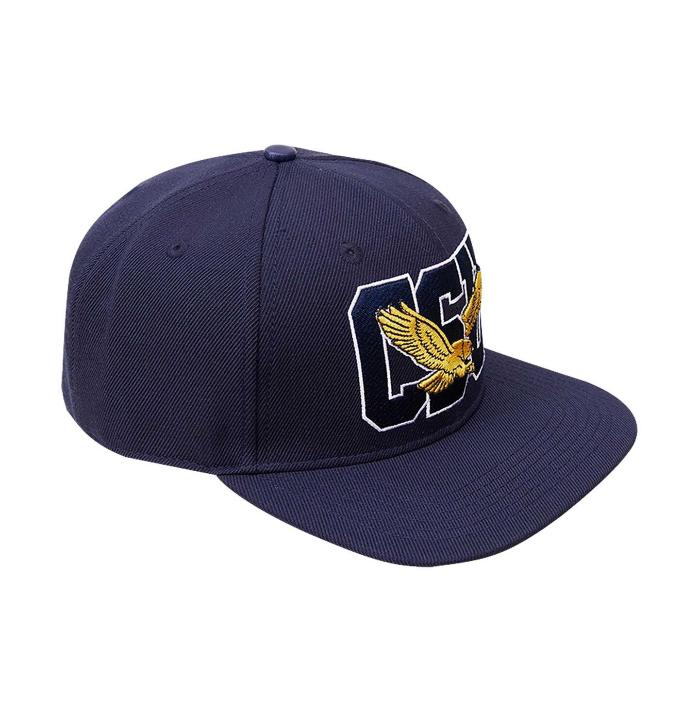 Мужская кепка Pro Standard Navy Coppin State Eagles Evergreen CSU Snapback Hat — фото 3