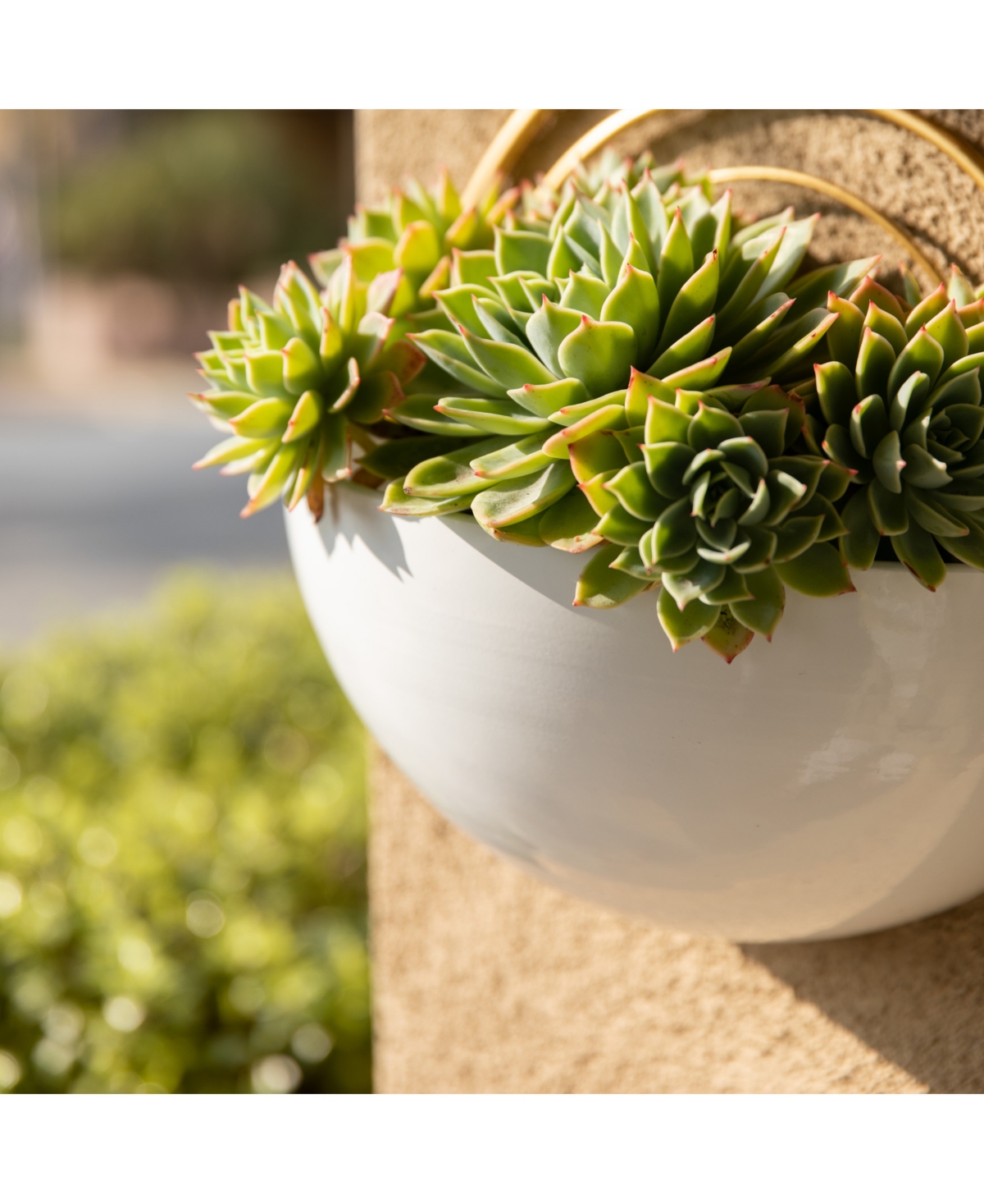 Danya B Crescent 3-piece Metal Wall Planter Set In White,gold
