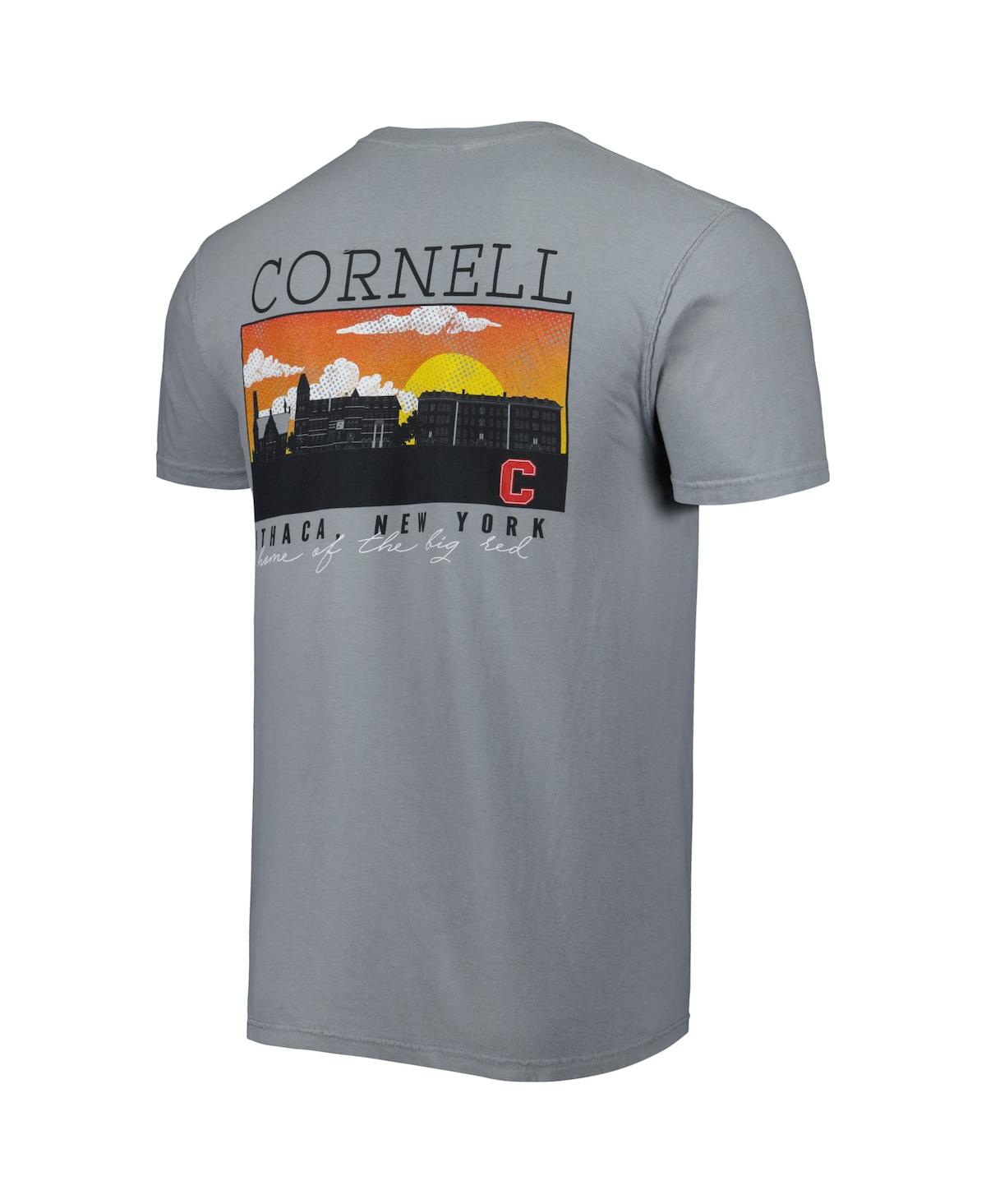 Image One Gray Cornell Big Red Campus Scenery Comfort Color T-shirt In Gray