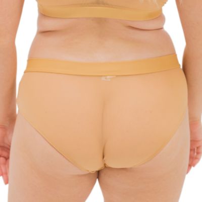 Women's Nude Shade Mesh Hipster Bikini Panty