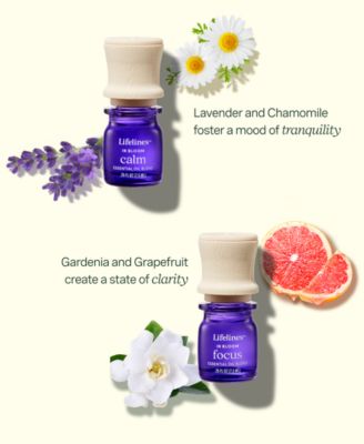 Essential Oil Blends - in Bloom,  4 Pack