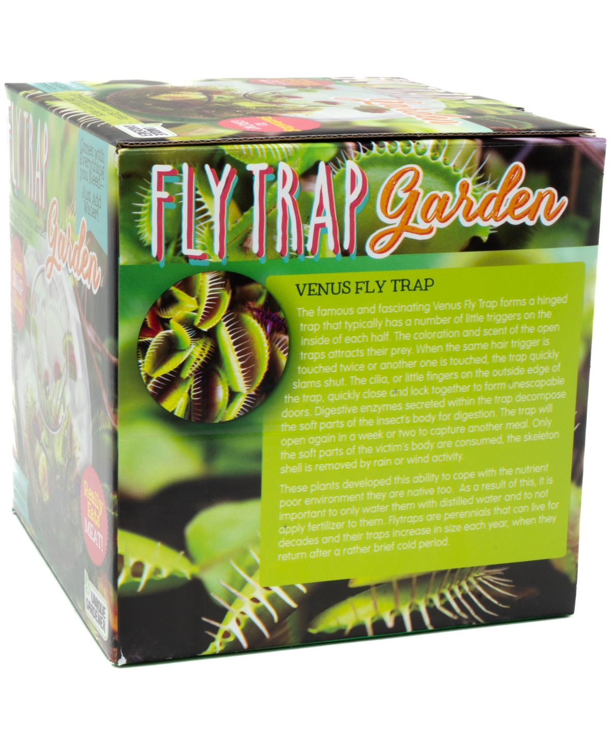 Shop Areyougame Unique Gardener Glass Terrarium Fly Trap Garden Plant Kit In No Color