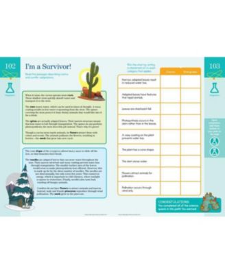 Summer Brain Quest: Between Grades 4 & 5 by Workman Publishing