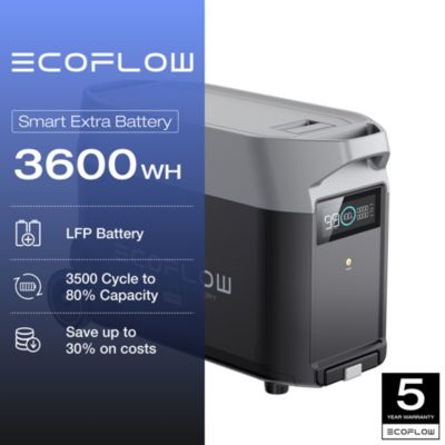 DELTA Pro Smart Extra Battery