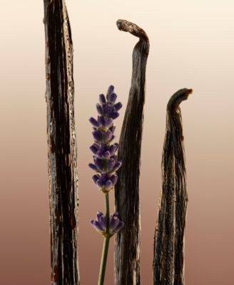 Burberry Goddess Body Lotion, 6.7 oz.