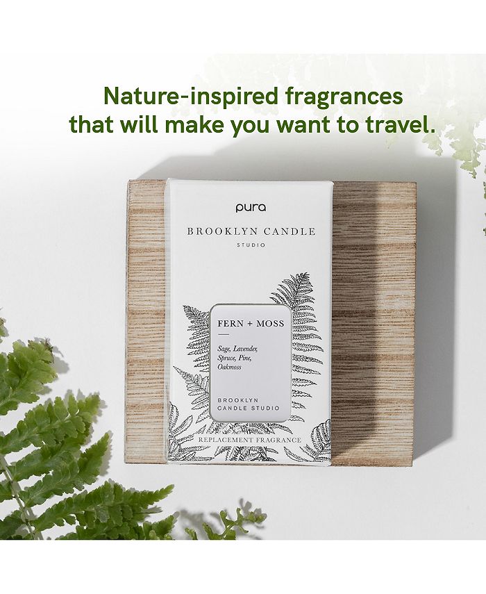 Pura Home Fragrance Scent Pura and Brooklyn Candle Studio Fern