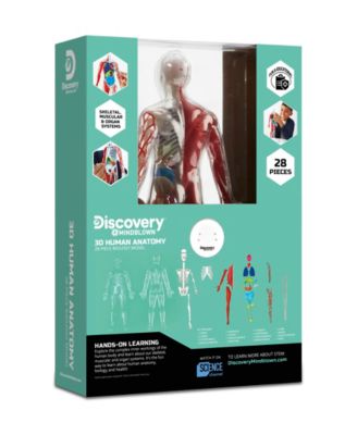 CLOSEOUT! 3D Human Anatomy 28-Piece Biology Model