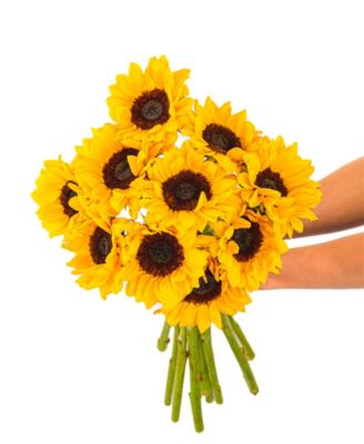 BloomsyBox