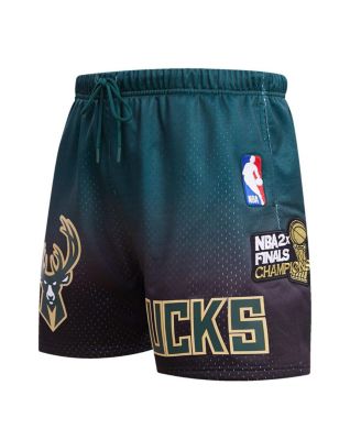 Men's Purple, Hunter Green Milwaukee Bucks Ombre Mesh Shorts