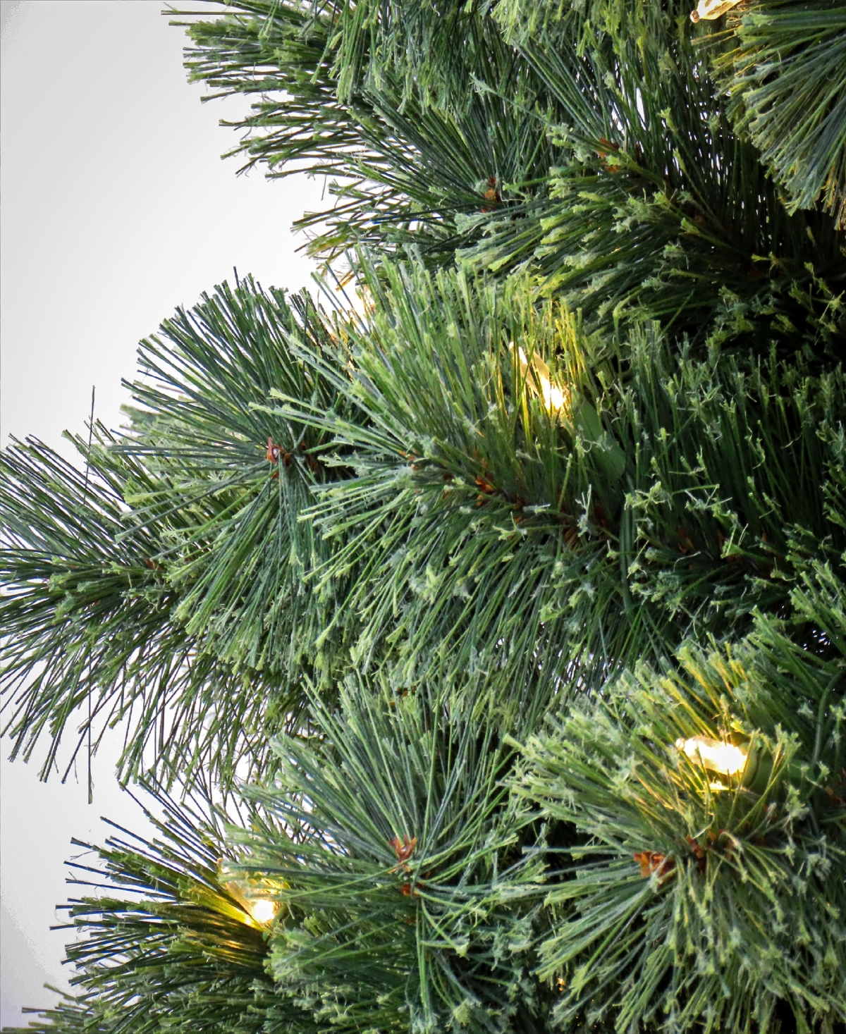 Shop National Tree Company 7.5' Pre-lit Pilchuck Pine Tree With Led Lights In Green