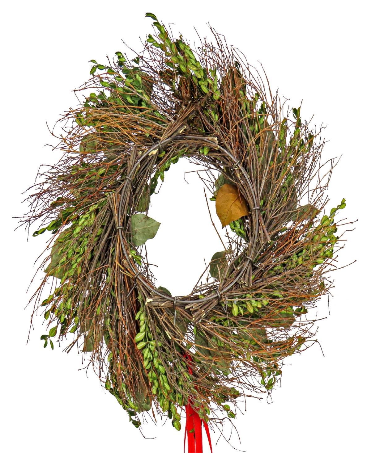 Shop National Tree Company 22" Boxwood Holiday Wreath In Green