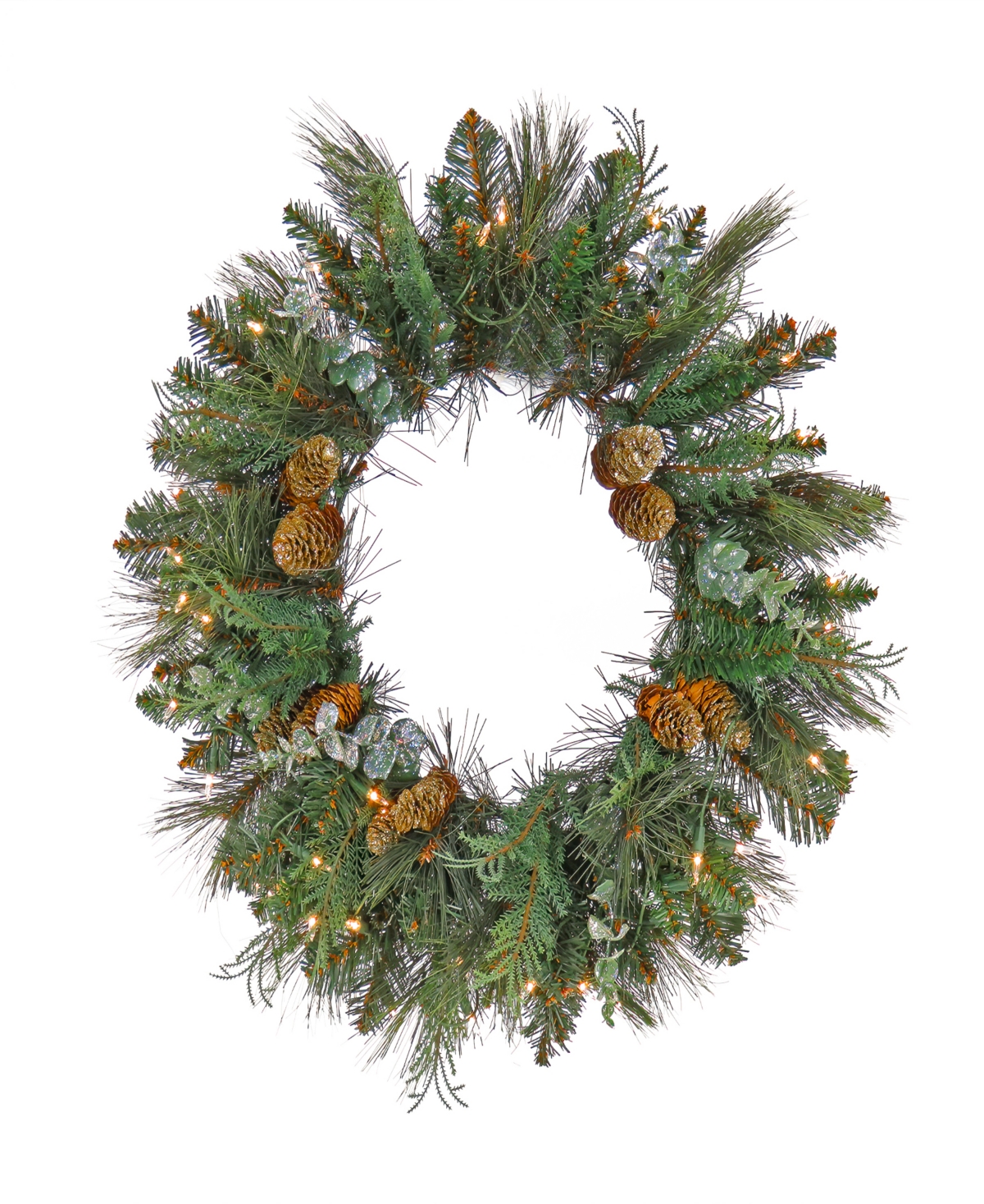 National Tree Company First Traditions Collection, 24" Pre-lit Artificial North Conway Wreath With Glittery Cones And Euca In Green