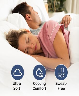 Cotton Sheet Set 18" - 24" Inch Extra Deep Pocket - Queen