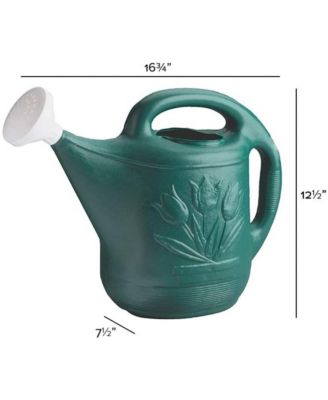 Classic Plastic Watering Can, 2 Gallon Capacity