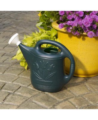 Classic Plastic Watering Can, 2 Gallon Capacity