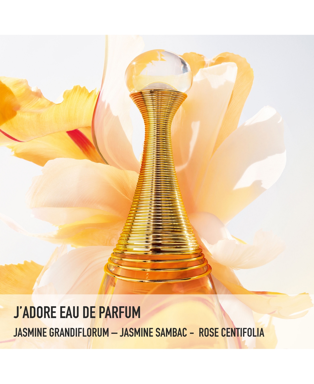 Shop Dior J'adore Eau De Parfum Spray, 3.4 oz In No Color