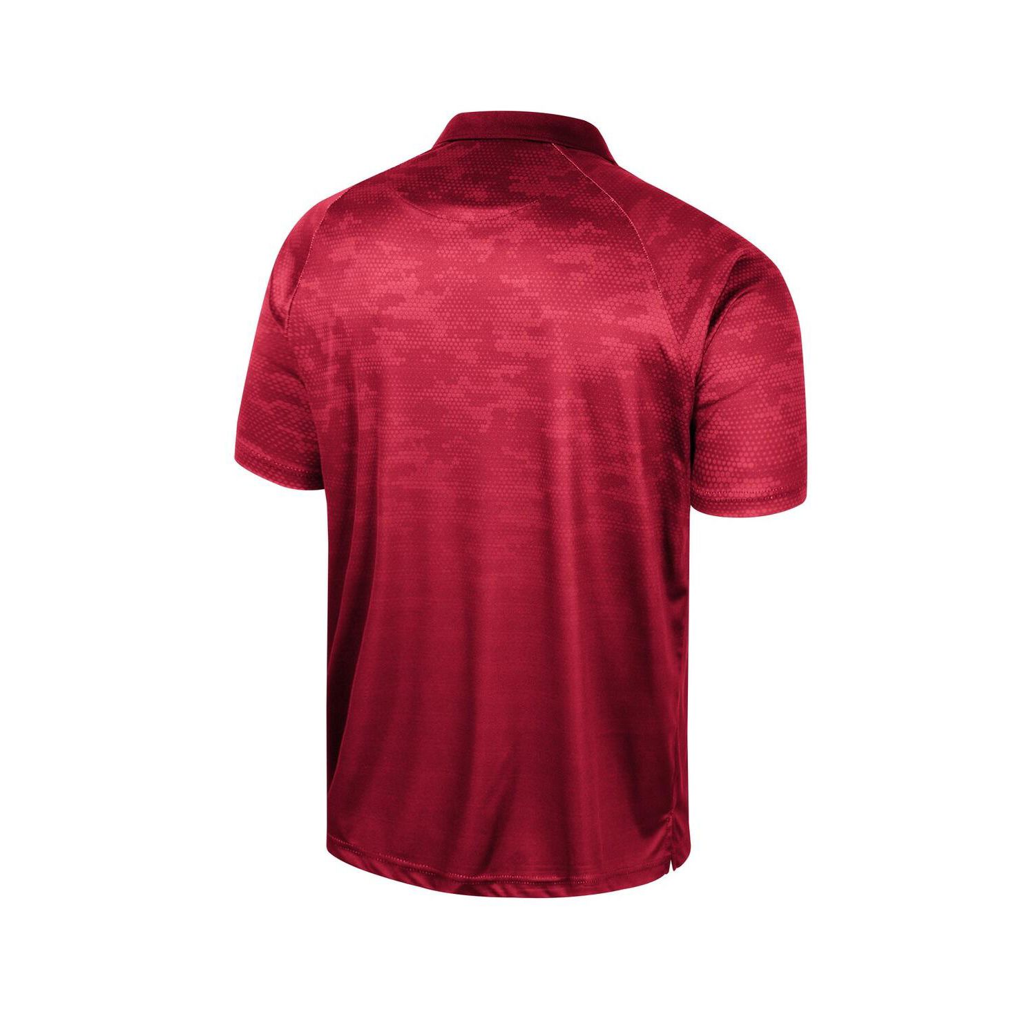 Men's Cardinal Arkansas Razorbacks Honeycomb Raglan Polo Shirt