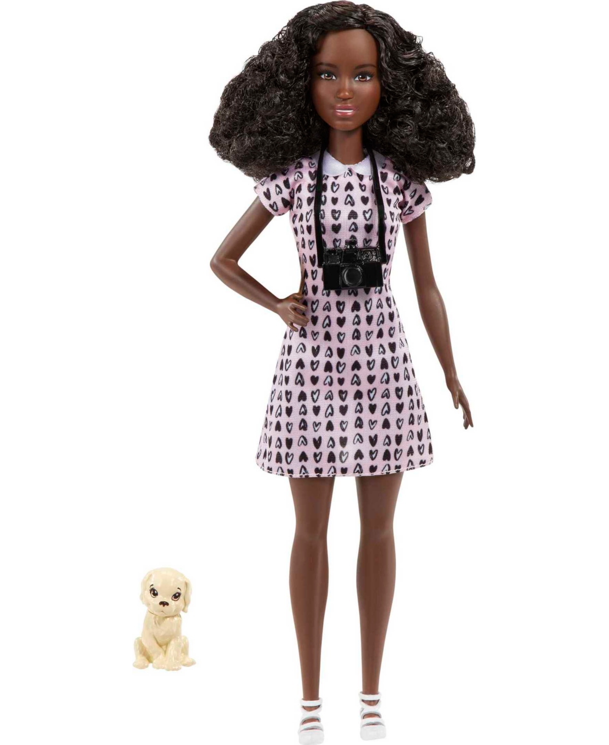 Shop Barbie Can Be A Pet Photographer In Multi