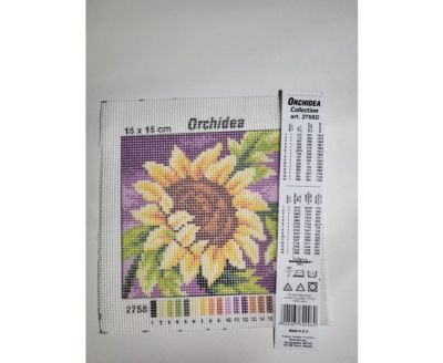 Orchidea