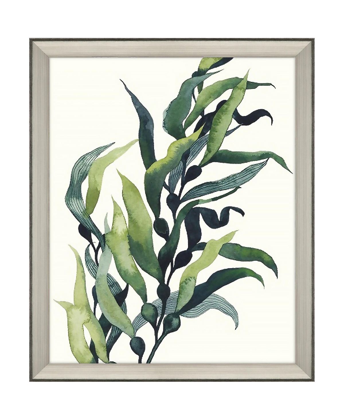 Paragon Picture Gallery Through The Kelp Ii Framed Art In Green