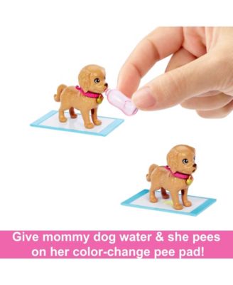 Doll and Accessories Pup Adoption Playset with Doll, 2 Puppies and Color-Change