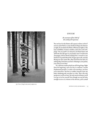 The Dictionary of Obscure Sorrows by John Koenig