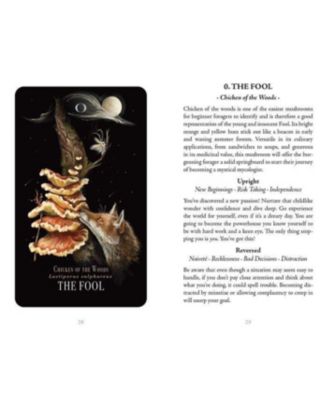 Midnight Magic- A Tarot Deck of Mushrooms by Sara Richard