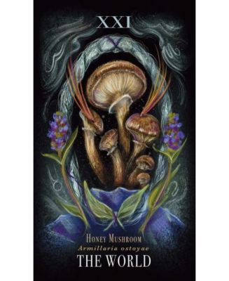Midnight Magic- A Tarot Deck of Mushrooms by Sara Richard