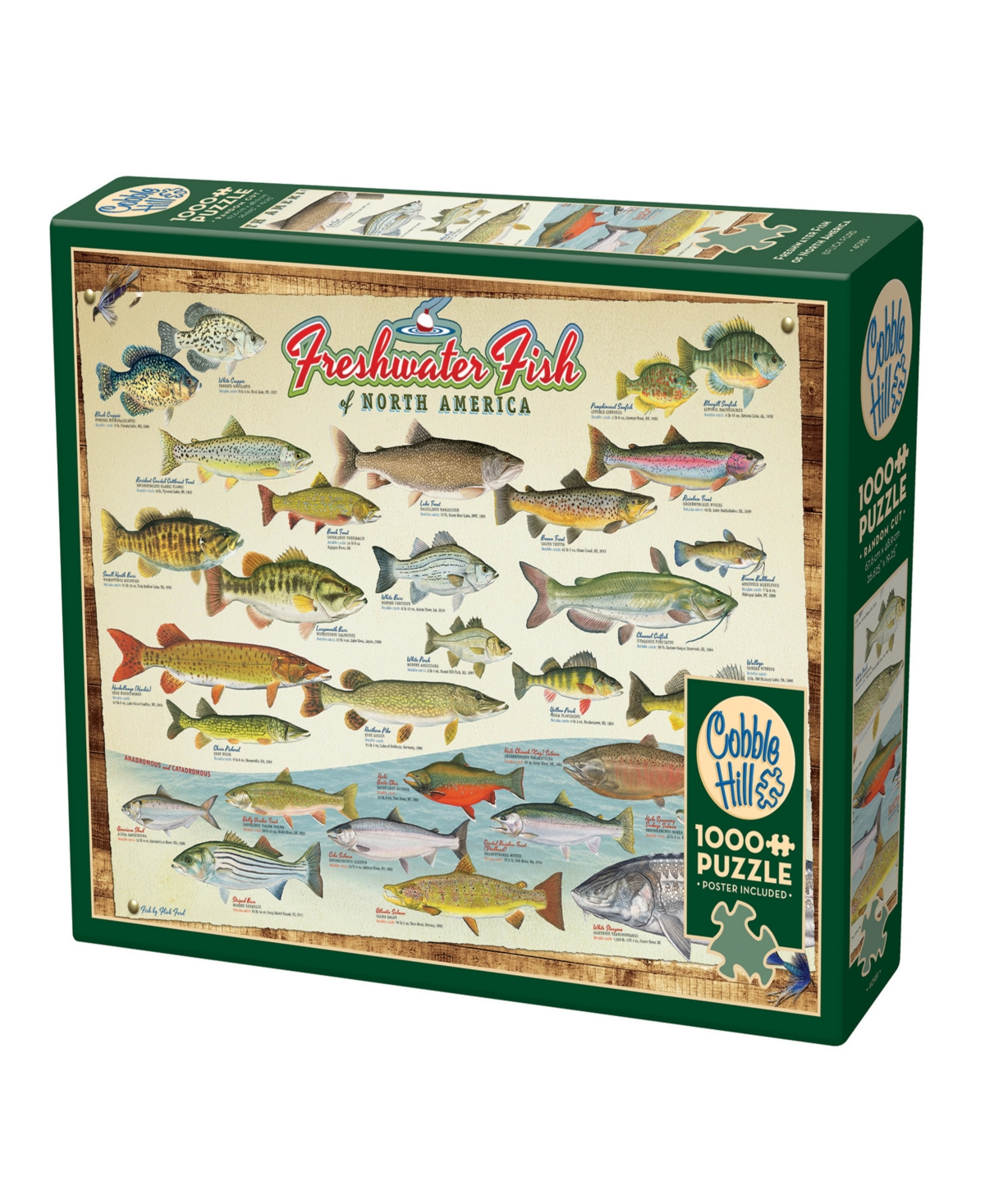 Cobble Hill Kids' - Freshwater Fish Of North America Puzzle In Multi