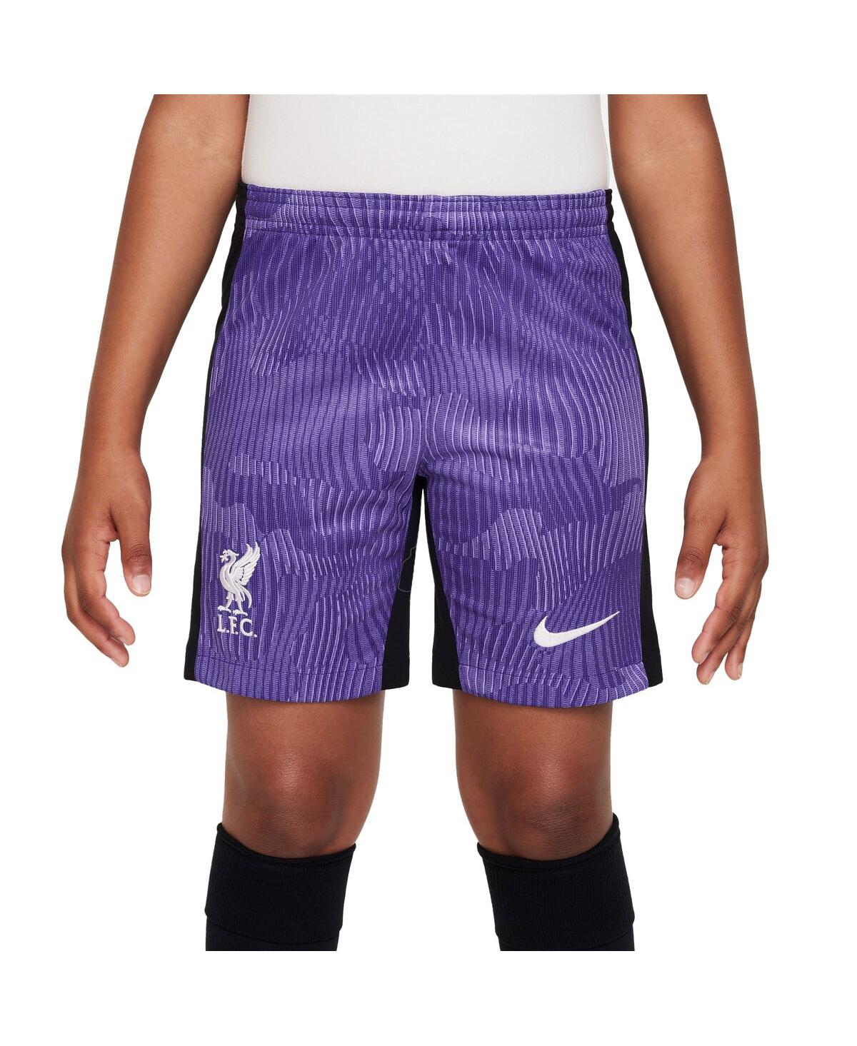 Shop Nike Big Boys  Purple Liverpool 2023/24 Third Stadium Performance Shorts