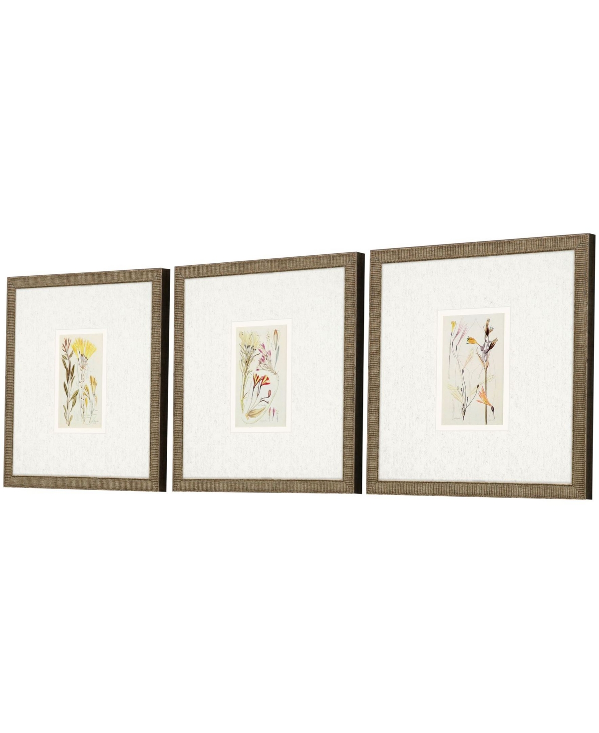 Paragon Picture Gallery Antique-like Botanical Ii Framed Art, Set Of 3 In Green
