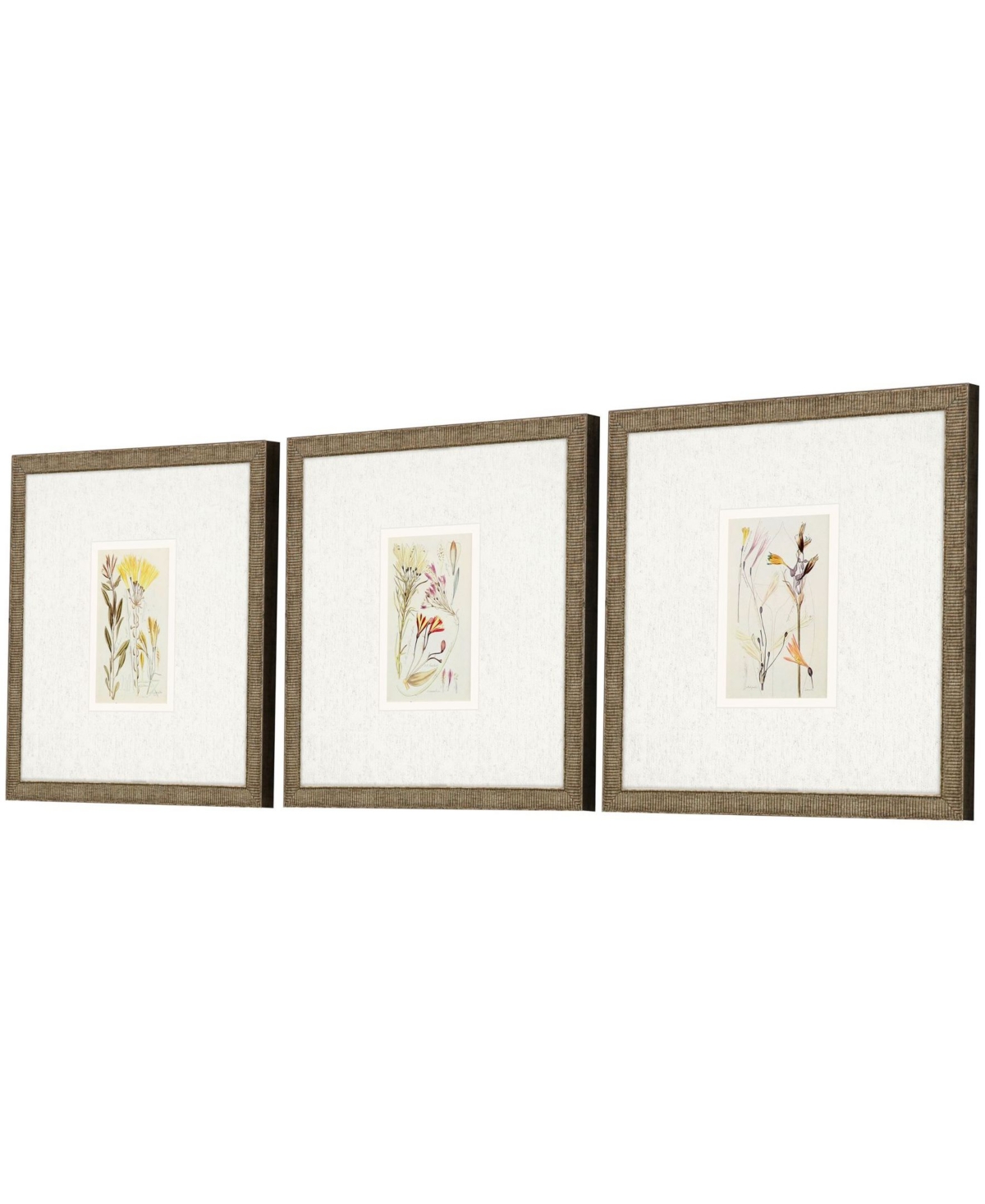 Shop Paragon Picture Gallery Antique-like Botanical Ii Framed Art, Set Of 3 In Green