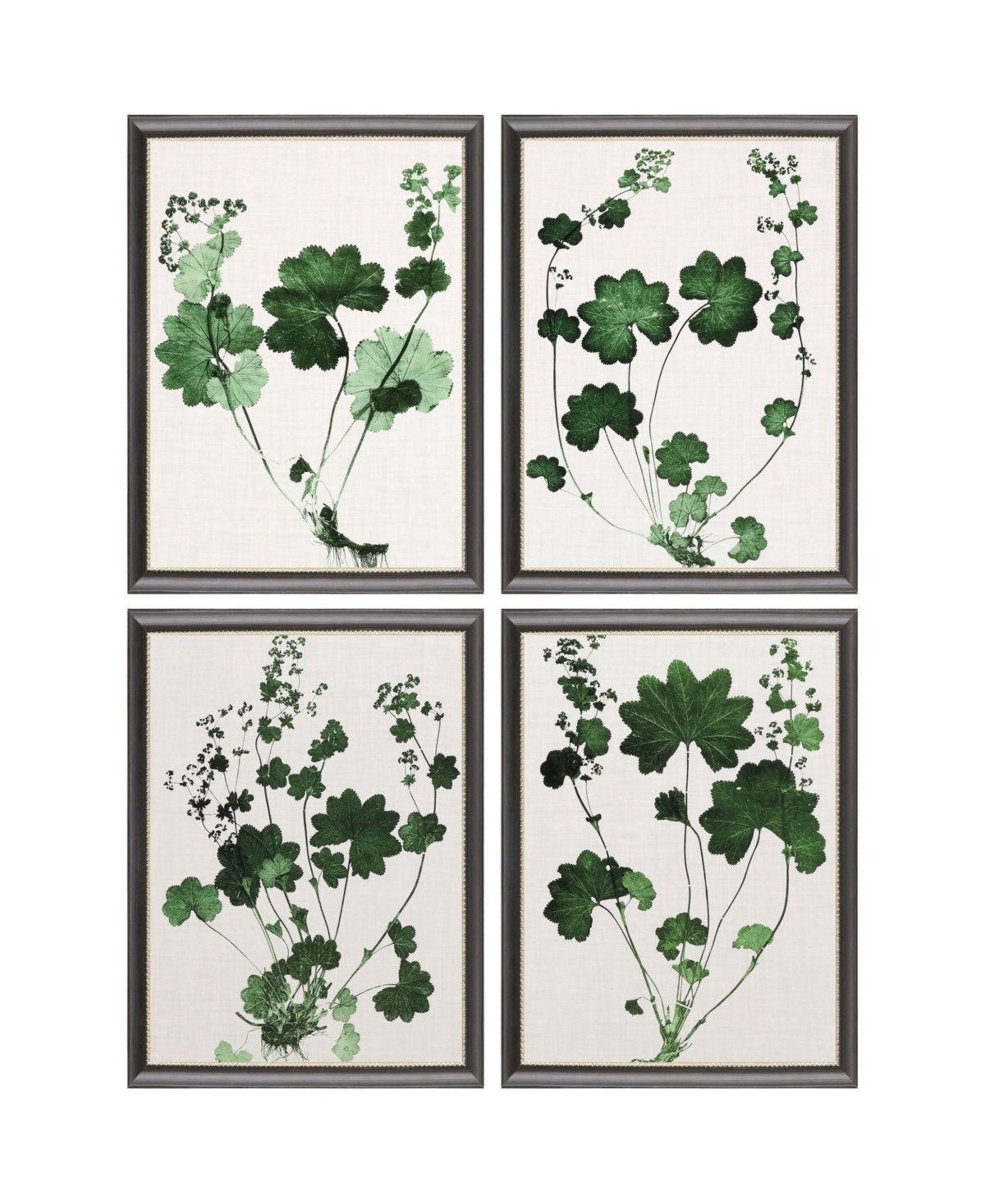 Paragon Picture Gallery Forest Foliage Framed Art, Set Of 4 In Green