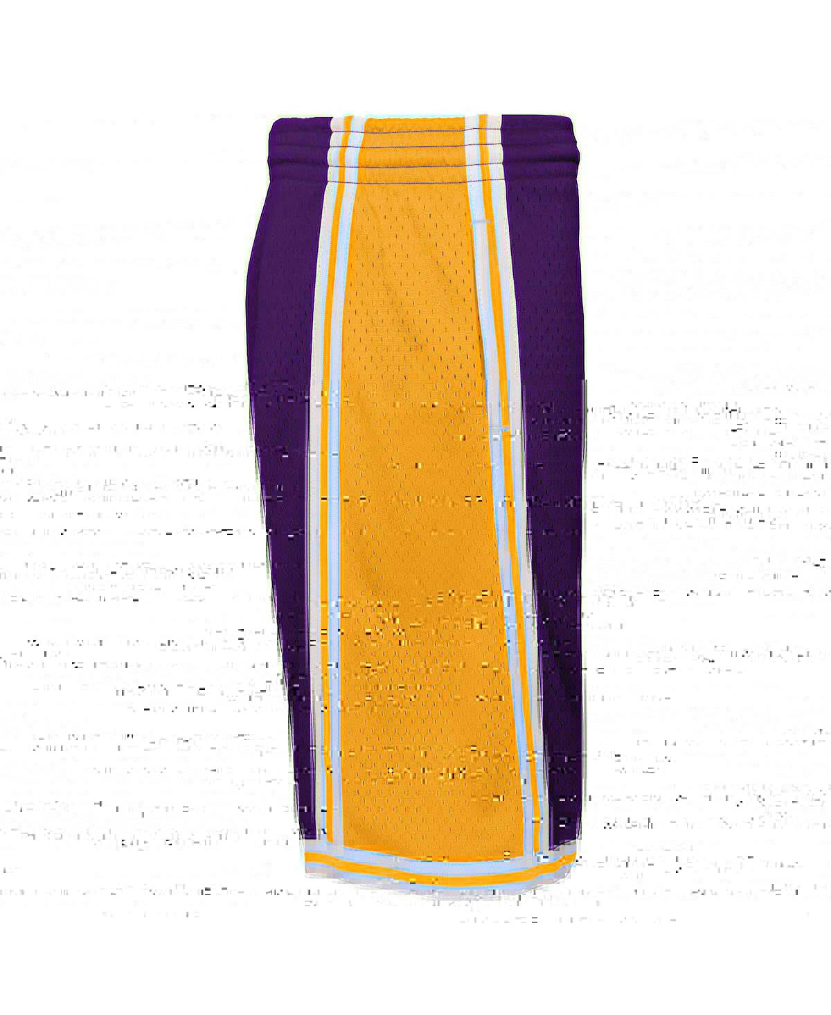 Shop Mitchell & Ness Big Boys  Purple Los Angeles Lakers Hardwood Classics Swingman Shorts