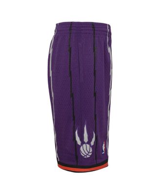 Big Boys Purple Toronto Raptors Hardwood Classics Swingman Shorts