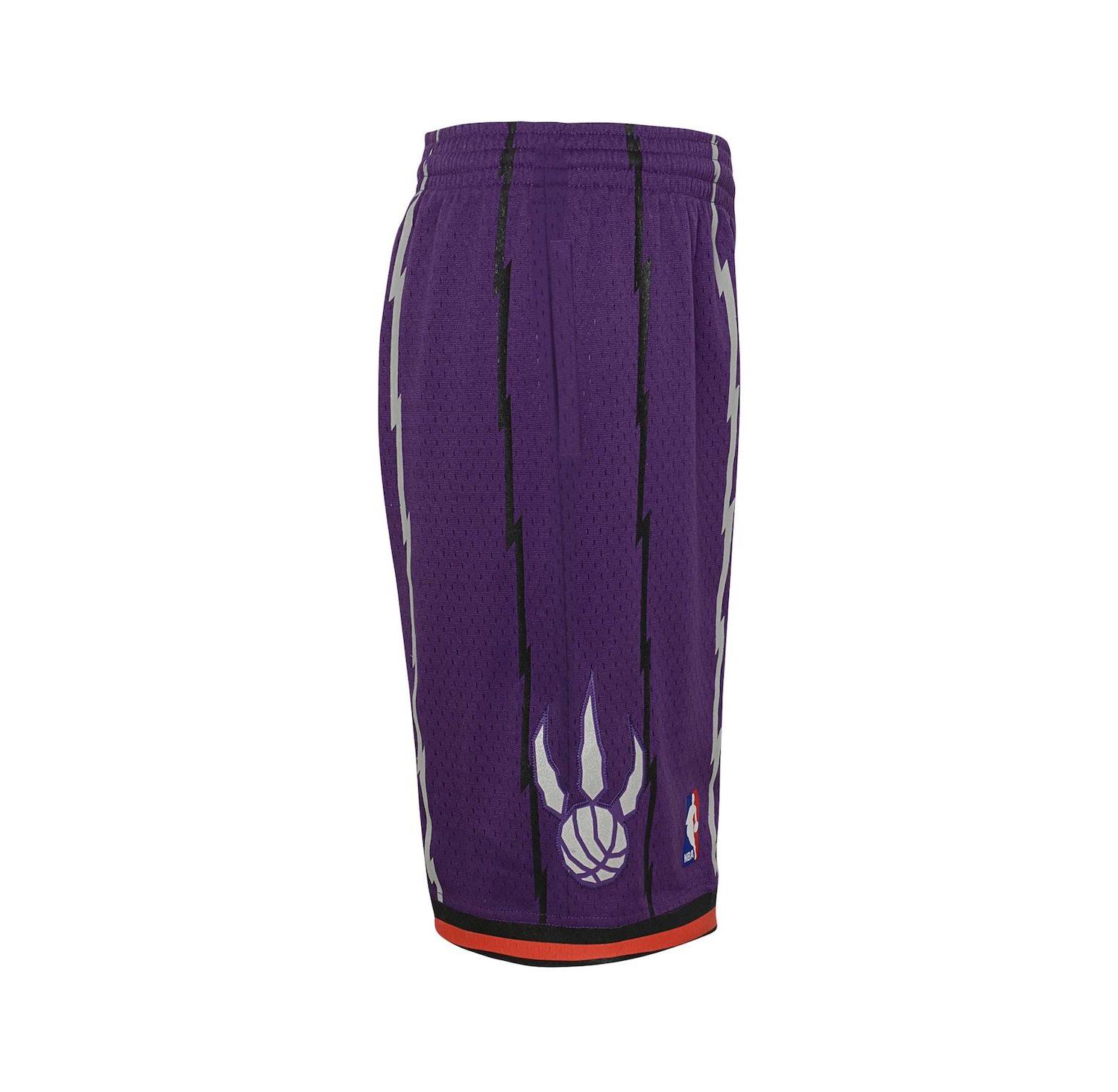 Big Boys Purple Toronto Raptors Hardwood Classics Swingman Shorts