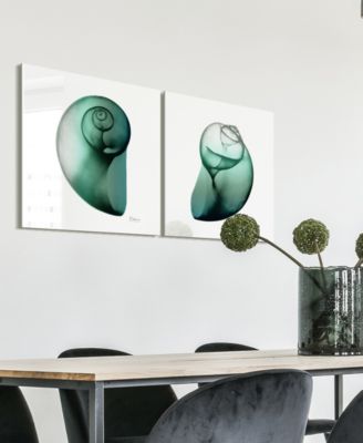 Shimmering Snail I Ii Frameless Free Floating Tempered Glass Panel Graphic Wall Art, 24" x 24" x 0.2" Each