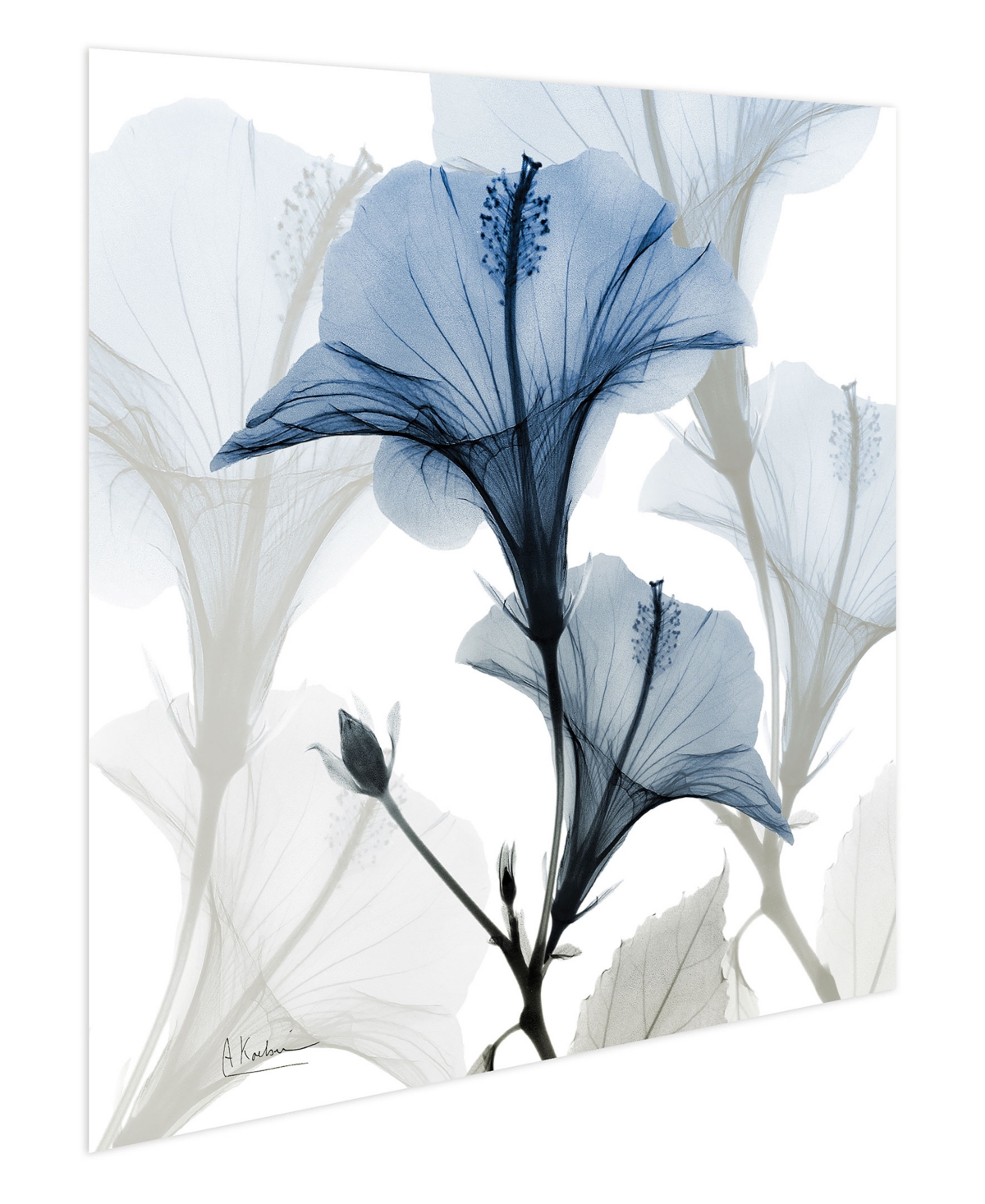 Empire Art Direct "blue X-ray Floral" Frameless Free Floating Tempered Glass Panel Graphic Wall Art, 24" X 24" X 0.2" In Blue,gray