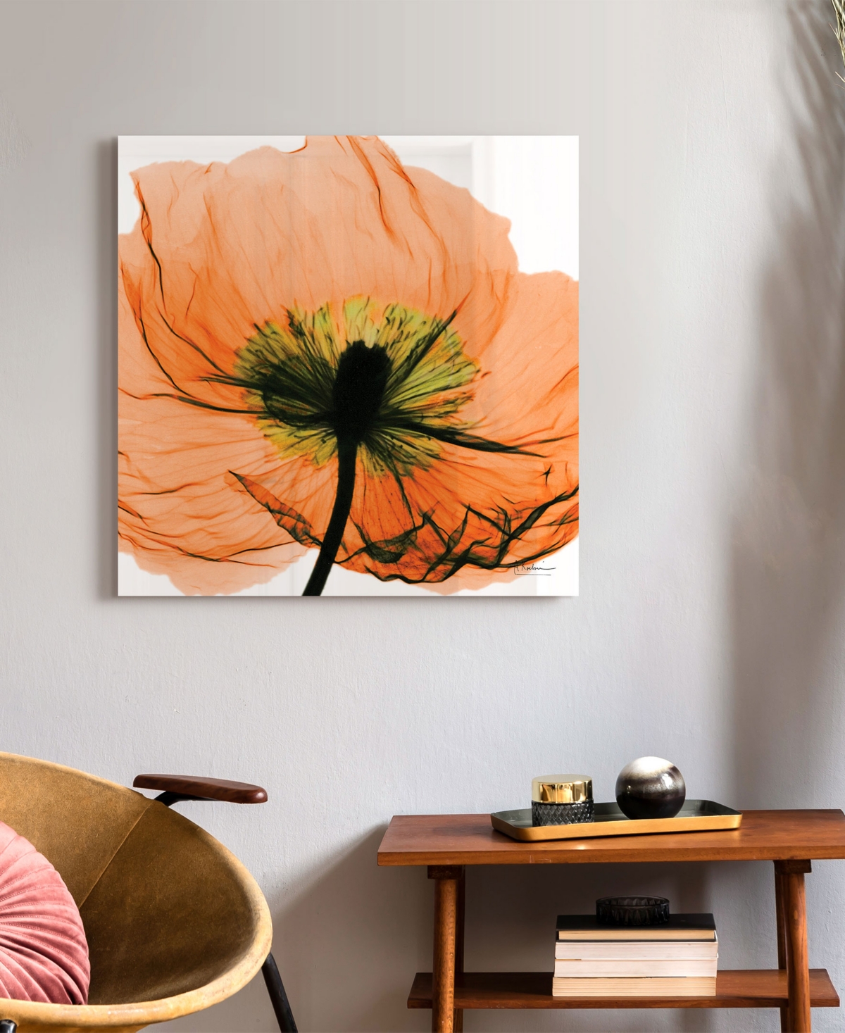 Empire Art Direct "poppy Orange" Frameless Free Floating Tempered Glass Panel Graphic Wall Art, 24" X 24" X 0.2" In Orange