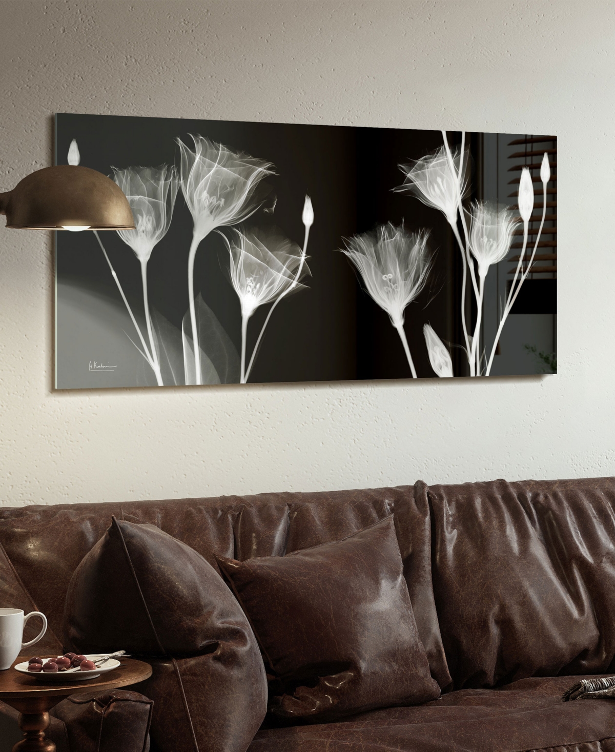 Shop Empire Art Direct "gentian X-ray" Frameless Free Floating Tempered Glass Panel Graphic Wall Art, 24" X 48" X 0.2" In Black,white