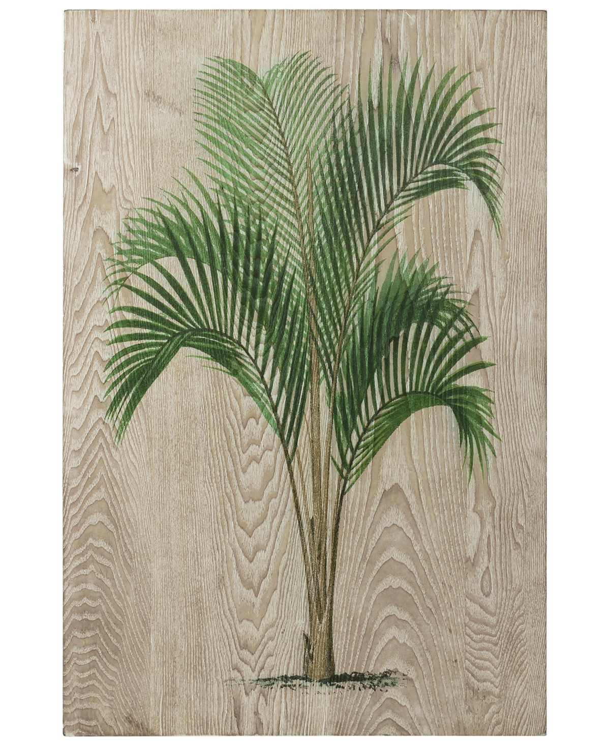 Empire Art Direct "coastal Palm I" Fine Giclee Printed Directly On Hand Finished Ash Wood Wall Art, 36" X 24" X 1.5" In Green