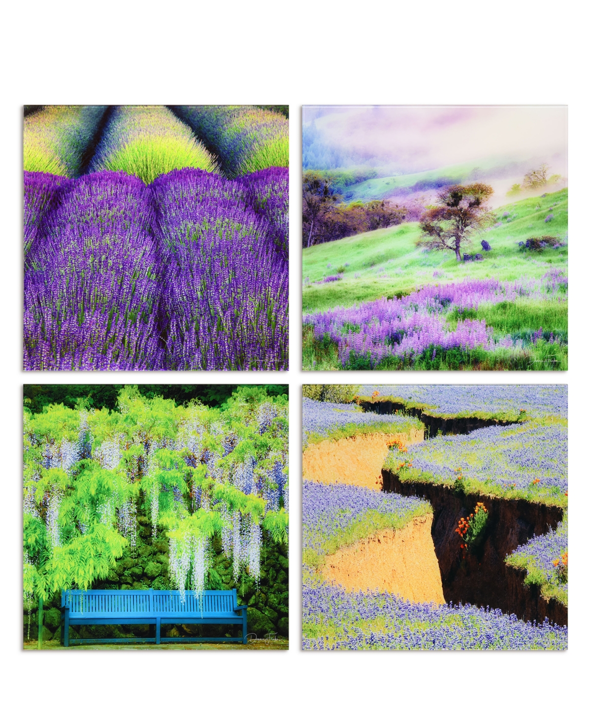 Empire Art Direct "splendid Lavander" Frameless Free Floating Reverse Printed Tempered Glass Nature Scapes Wall Art, 2 In Multi-color