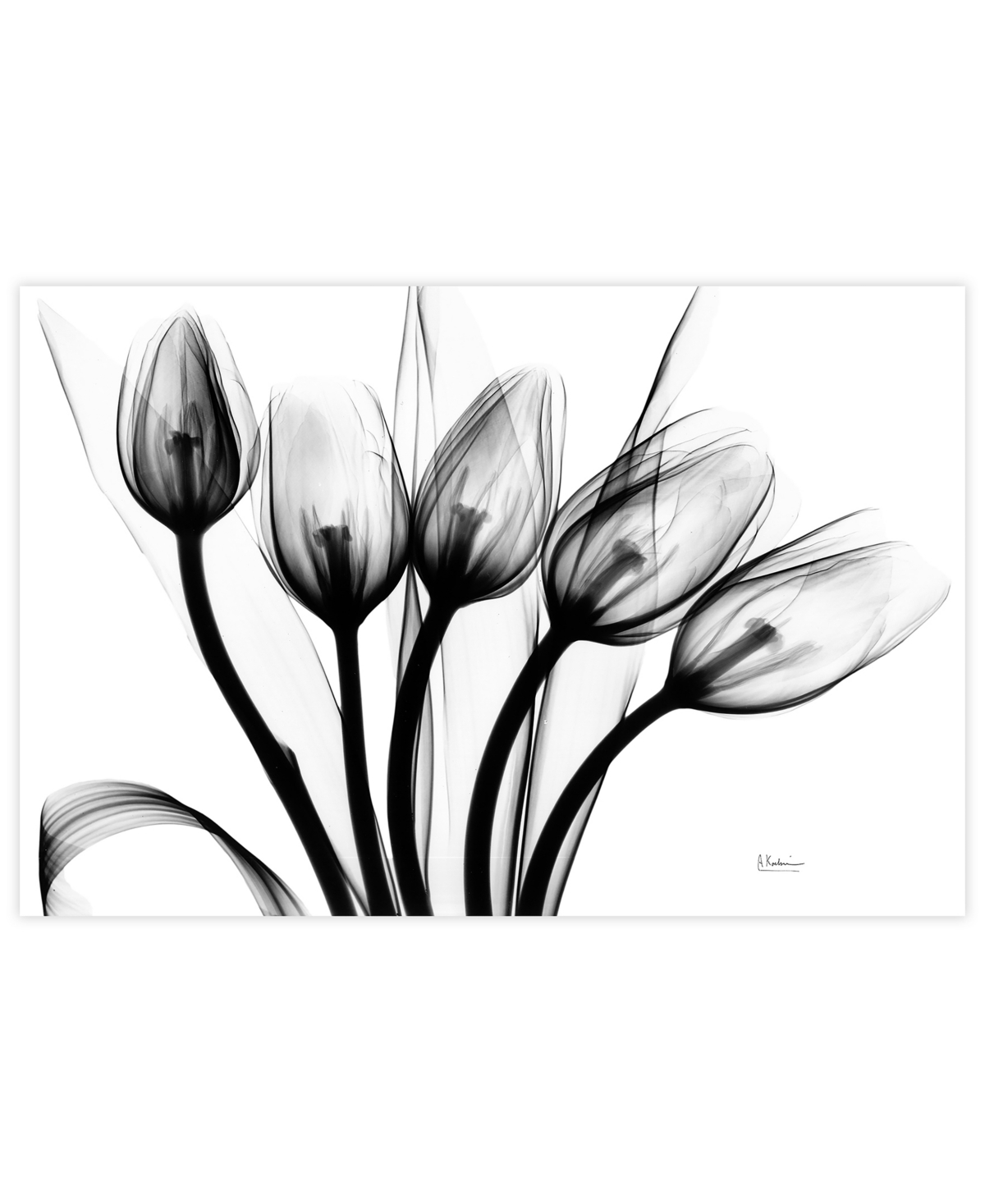 Empire Art Direct "marching Tulips" Frameless Free Floating Tempered Glass Panel Graphic Wall Art, 32" X 48" X 0.2" In Gray