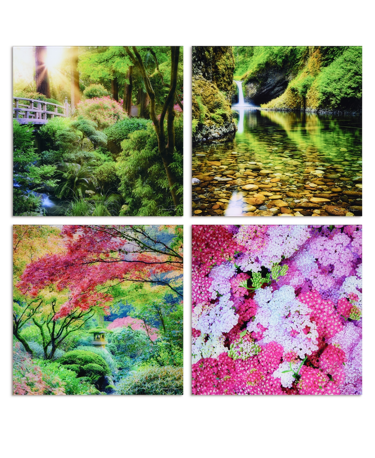 Empire Art Direct "maples, Waterfalls Yarrows" Frameless Free Floating Reverse Printed Tempered Glass Nature Scapes Wa In Multi-color