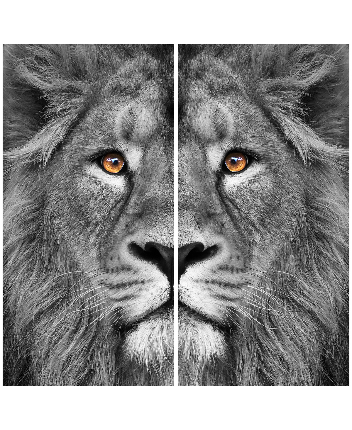 Empire Art Direct King Of The Jungle Ab Frameless Free Floating Tempered Glass Panel Graphic Wall Art, 72" X 36" X 0.2 In Gray
