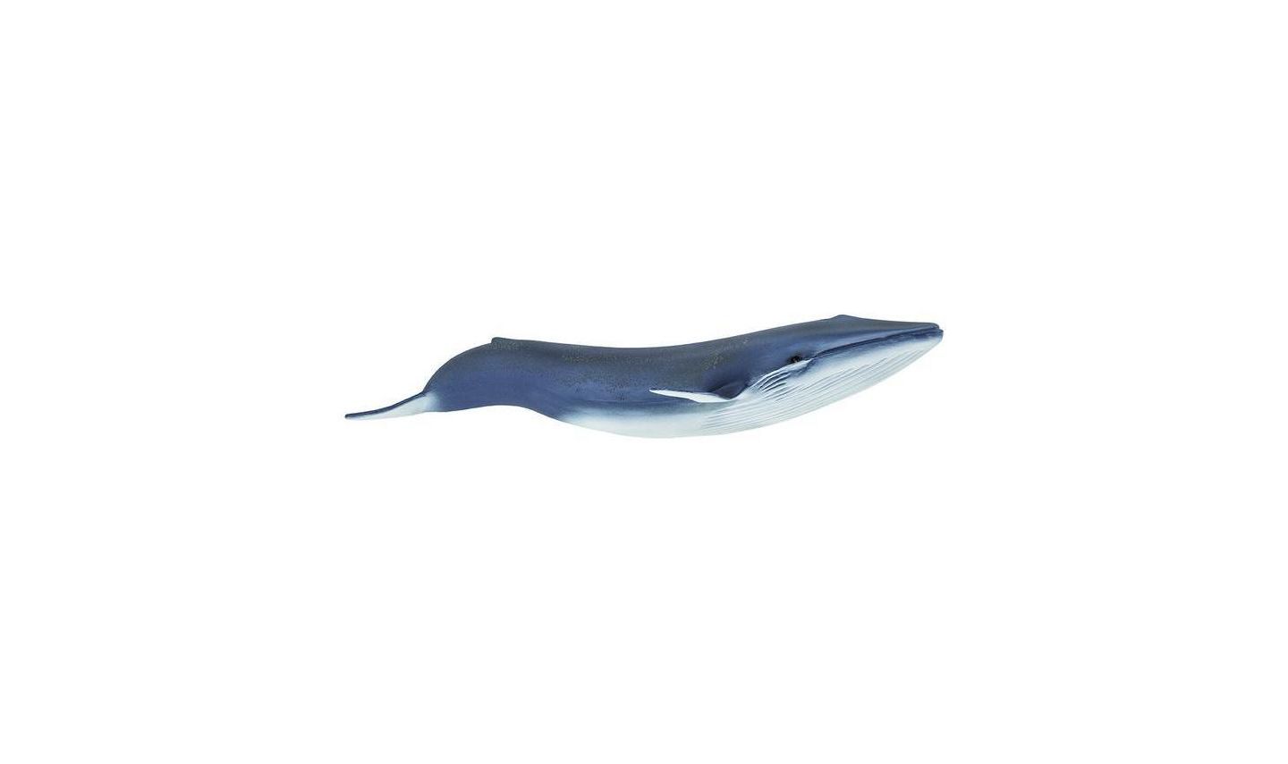 Детская игрушка Safari Ltd Blue Whale Sea Life — фото 1