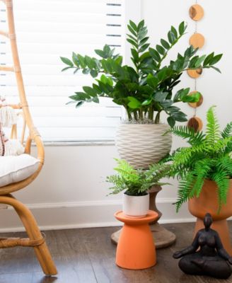 13" Artificial Boston Fern Plant with Decorative Planter