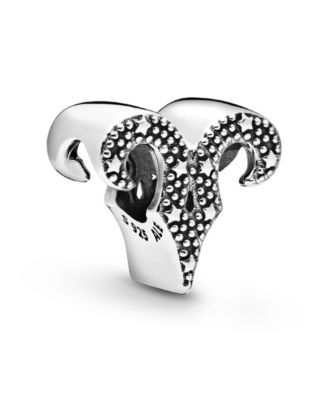 Sterling Silver Zodiac Charm