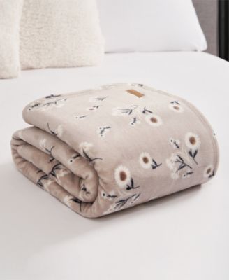 Daisy Floral Cozy Plush Throw, 50" x 70"