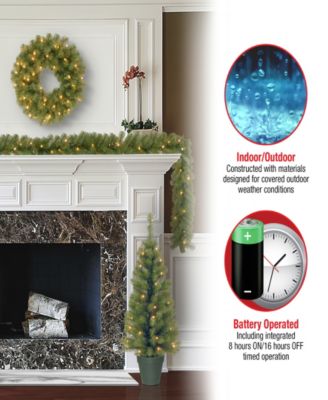 National Tree Company National Tree 3ft Entrance Tree Assortment with Battery Operated LED Lights